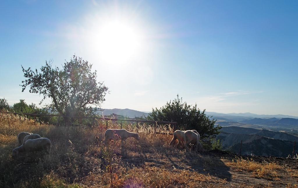 Il Belvedere Civita Exteriér fotografie