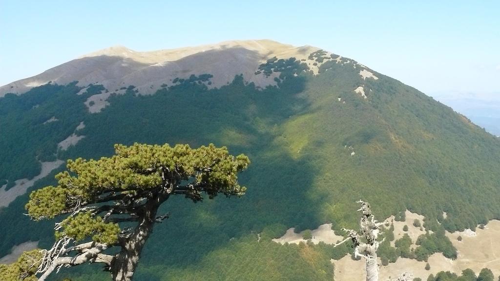 Il Belvedere Civita Exteriér fotografie