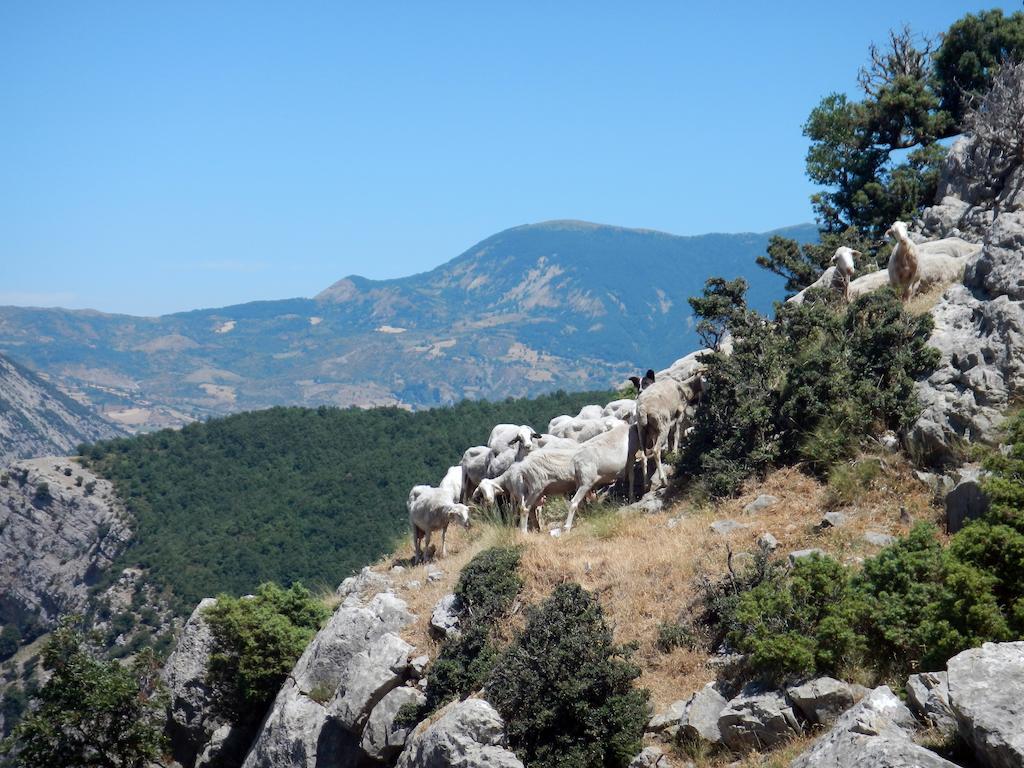 Il Belvedere Civita Exteriér fotografie